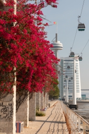 Torre Vasco da Gama