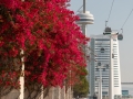 Torre Vasco da Gama