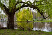 James's Park