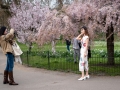 James's Park
