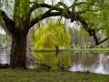 James's Park