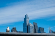 Skyline