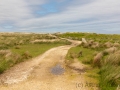 Landschaft auf Lundy