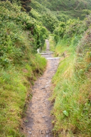 Lundy, Ostküste