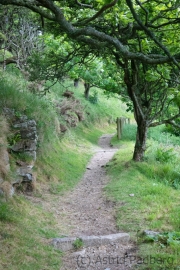 Lundy, Ostküste