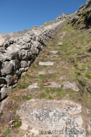 Weg zur Battery, Westküste, Lundy