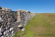 Half Wall, Westküste, Lundy