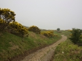 Clynnog Fawr nach Llithfaen