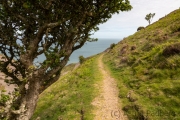 Coast Path Richtung Minehead