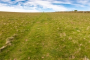 Weg von Countisbury nach Watersmeet