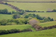 Weg von Countisbury nach Watersmeet