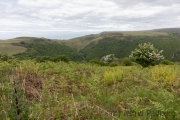 Watersmeet nach Lynton