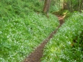 Coast Path Richtung Foreland