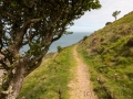 Coast Path Richtung Minehead