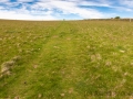 Weg von Countisbury nach Watersmeet