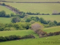 Weg von Countisbury nach Watersmeet