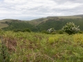 Watersmeet nach Lynton