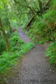 Weg nach Watersmeet