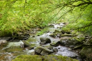 Weg nach Watersmeet