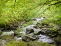 Weg nach Watersmeet