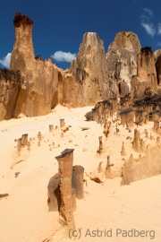 Ankarafantsika NP, Ambalobongoschlucht