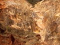 Ankarafantsika NP, Ambalobongoschlucht