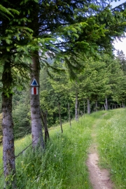 Wanderung von Magura nach Bran
