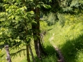 Wanderung von Magura nach Bran