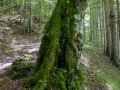 Wanderung von Magura nach Bran