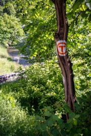 Wanderweg von Bran nach Magura