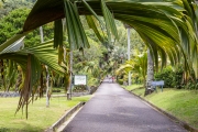 Botanischer Garten Victoria