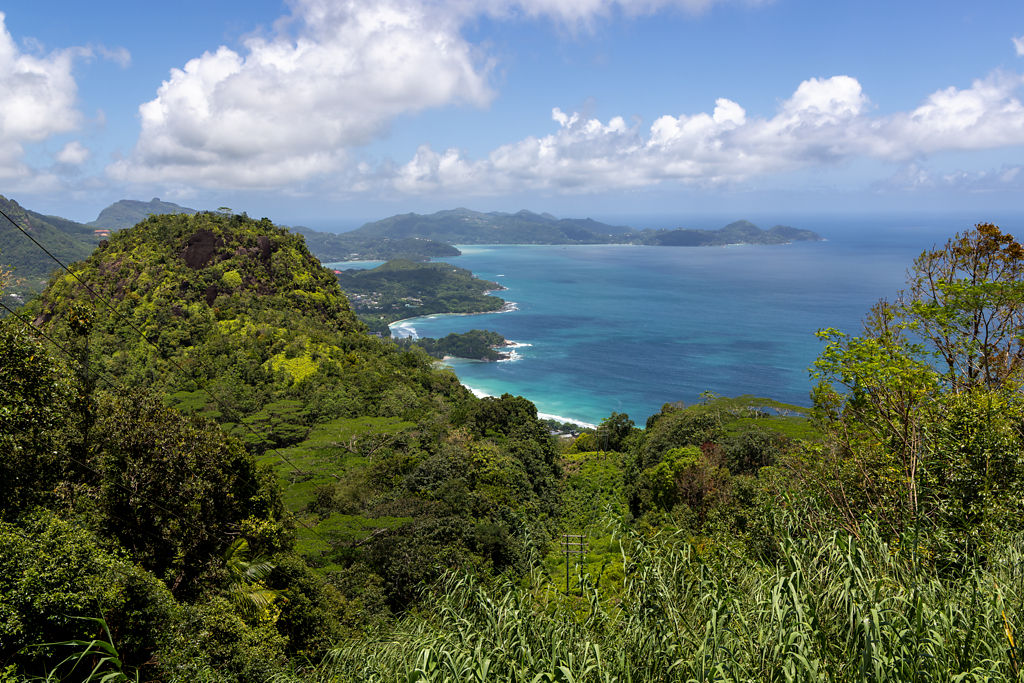 Blick von der Teeplantage