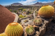 Jardin de Cactus