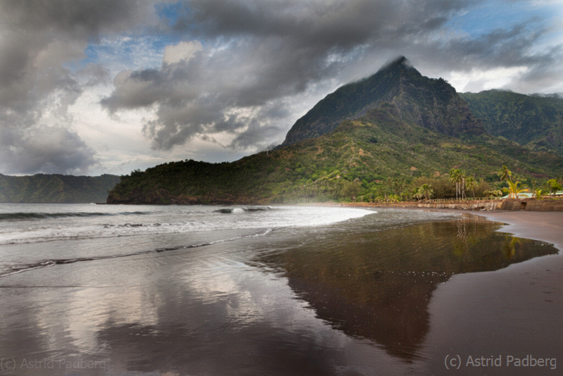 hiva_oa_0954_1_web_web