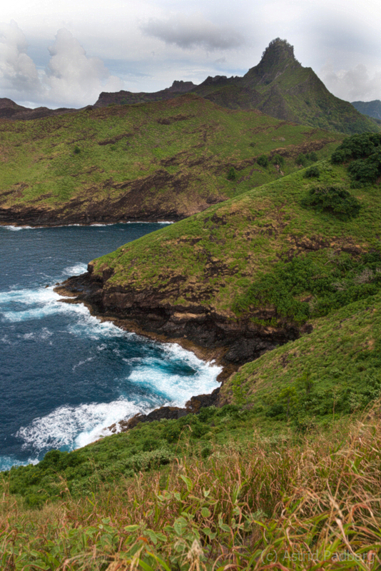 hiva_oa_1105_web_web