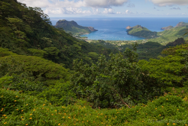 Nuku Hiva