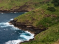 hiva_oa_1105_web_web