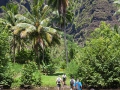 Nuku Hiva; Weg zum Wasserfall Vaipo