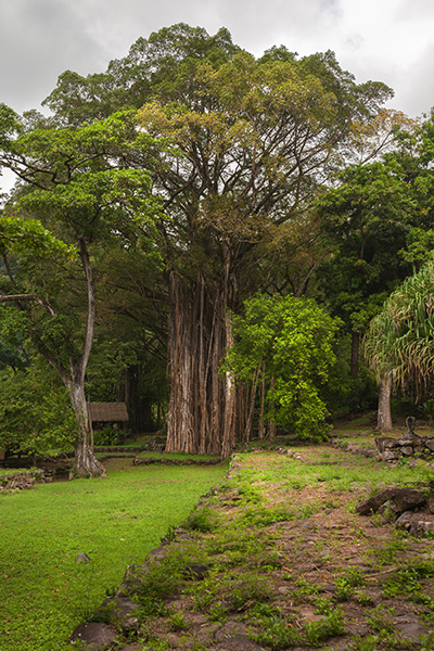 Nuku Hiva, Tohua Koueva