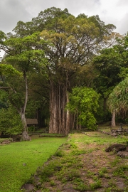 Nuku Hiva, Tohua Koueva