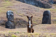 Osterinsel; Rano Raraku