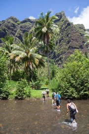 Nuku Hiva; Weg zum Wasserfall Vaipo