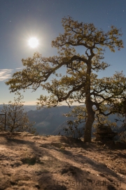 Landschaft im Mondschein, Posada Barrancas