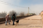 Wanderung mit Straßenhund, Cerocahui