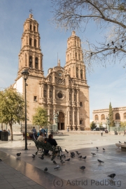 Cathedral de Chihuahua