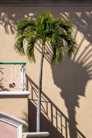 Tropical Mansion Suites