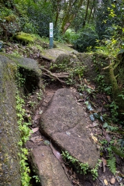 Weg zum Morne Blanc
