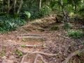 Weg zum Morne Blanc