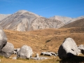 Arthur's Pass, Castle Hill