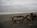 Hokitika, Strand